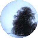 The Odd Willow Avatar