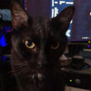 Cooby Avatar