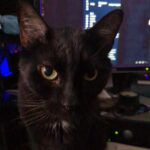 Pair Programming